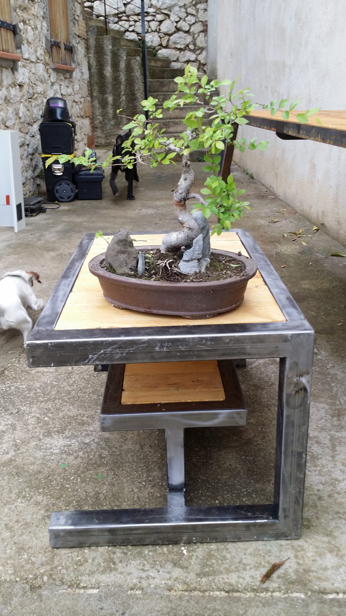 Table basse fer et bois