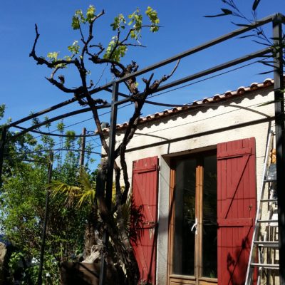 Pergola en fer forgé